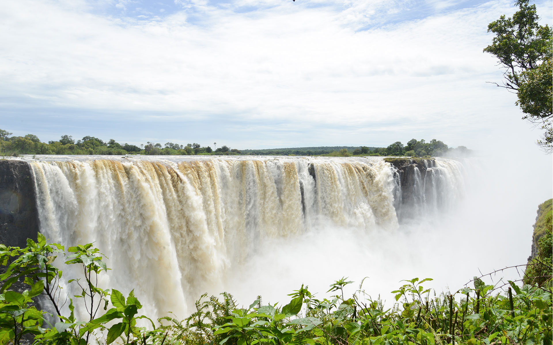 Savanna Safaris Victoria Falls
